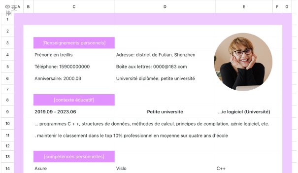 CV personnel minimaliste pour les stagiaires en entreprise